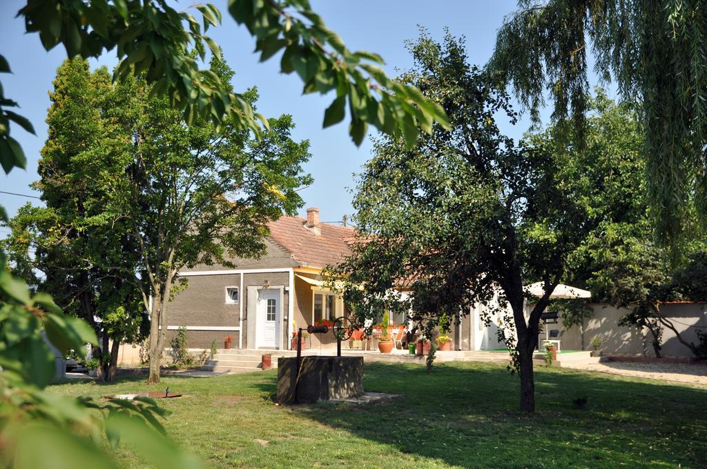 Home Tara Haţeg Esterno foto