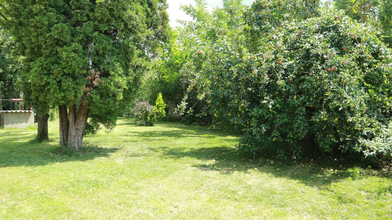 Home Tara Haţeg Esterno foto